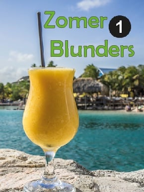 coverfoto zomerblunders